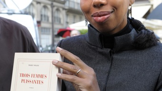 Literary Lioness